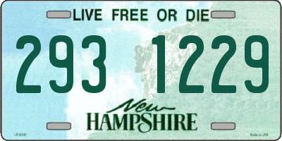NH license plate 2931229