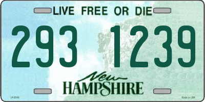 NH license plate 2931239