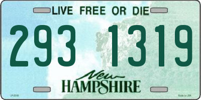 NH license plate 2931319