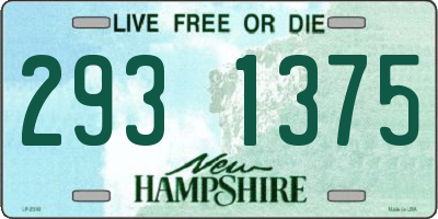 NH license plate 2931375