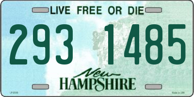 NH license plate 2931485