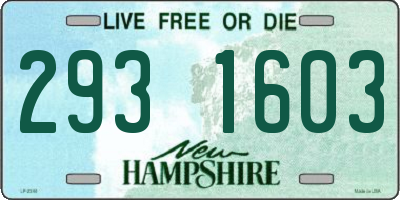 NH license plate 2931603