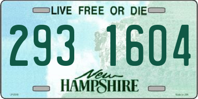 NH license plate 2931604