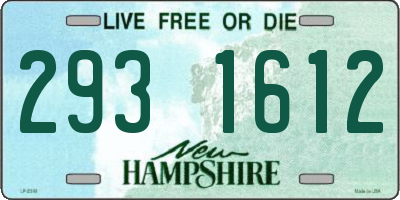 NH license plate 2931612