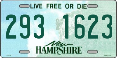 NH license plate 2931623