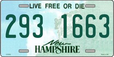 NH license plate 2931663
