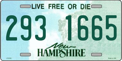 NH license plate 2931665