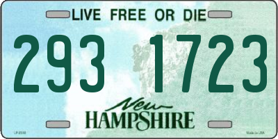 NH license plate 2931723