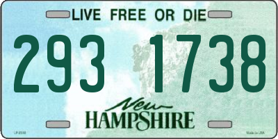 NH license plate 2931738