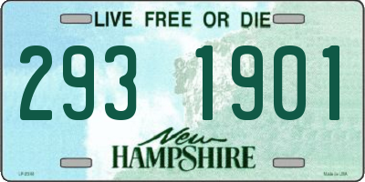 NH license plate 2931901