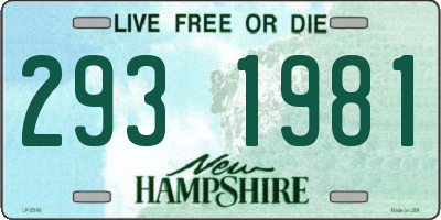 NH license plate 2931981