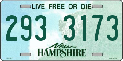 NH license plate 2933173