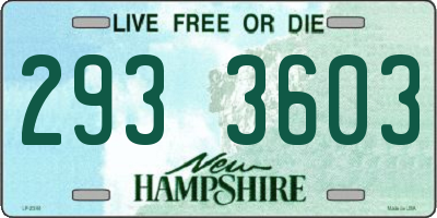 NH license plate 2933603