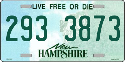 NH license plate 2933873