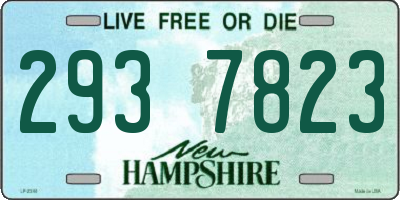 NH license plate 2937823