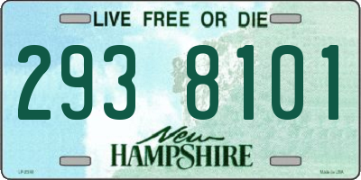 NH license plate 2938101