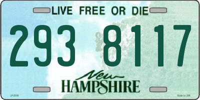 NH license plate 2938117