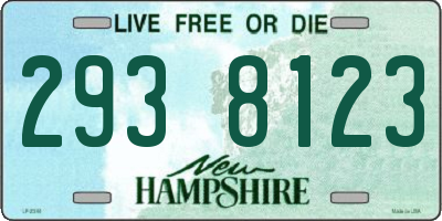 NH license plate 2938123