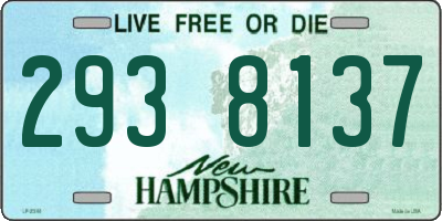 NH license plate 2938137