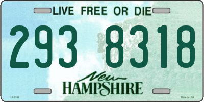 NH license plate 2938318