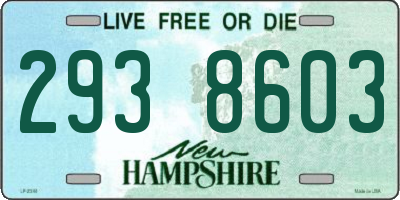 NH license plate 2938603