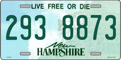 NH license plate 2938873