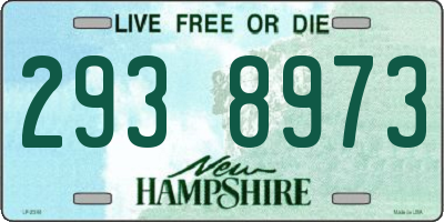 NH license plate 2938973