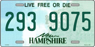NH license plate 2939075