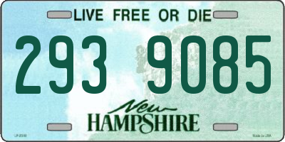 NH license plate 2939085