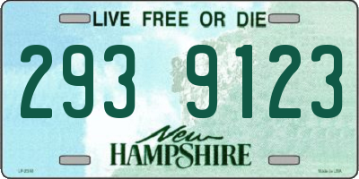 NH license plate 2939123