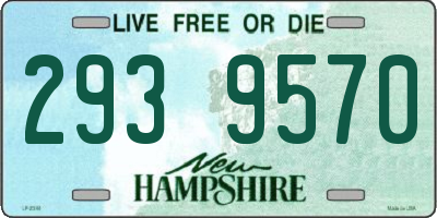 NH license plate 2939570
