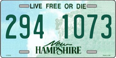 NH license plate 2941073