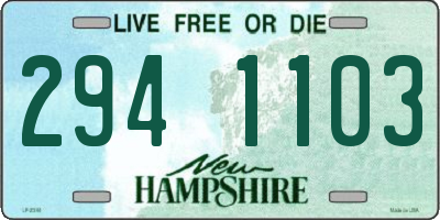 NH license plate 2941103