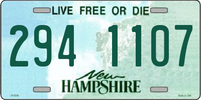 NH license plate 2941107