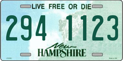 NH license plate 2941123