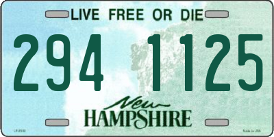 NH license plate 2941125