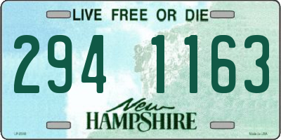 NH license plate 2941163