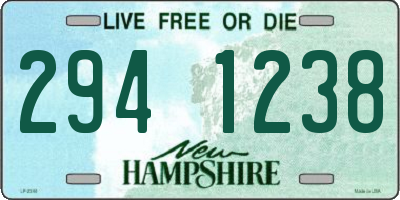 NH license plate 2941238