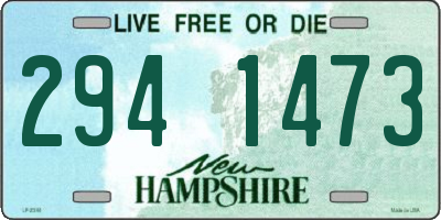 NH license plate 2941473