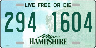 NH license plate 2941604