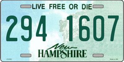 NH license plate 2941607