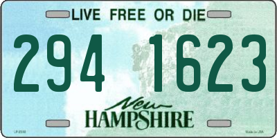 NH license plate 2941623
