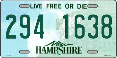 NH license plate 2941638