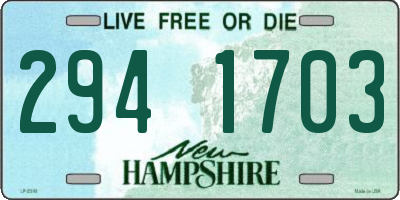 NH license plate 2941703