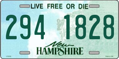 NH license plate 2941828