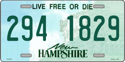 NH license plate 2941829