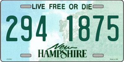 NH license plate 2941875