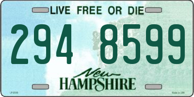 NH license plate 2948599