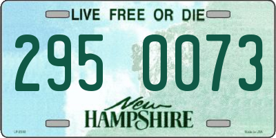 NH license plate 2950073