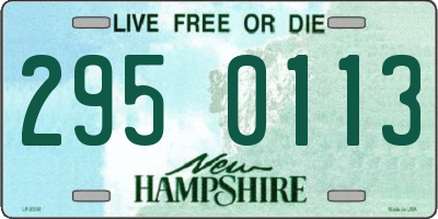 NH license plate 2950113